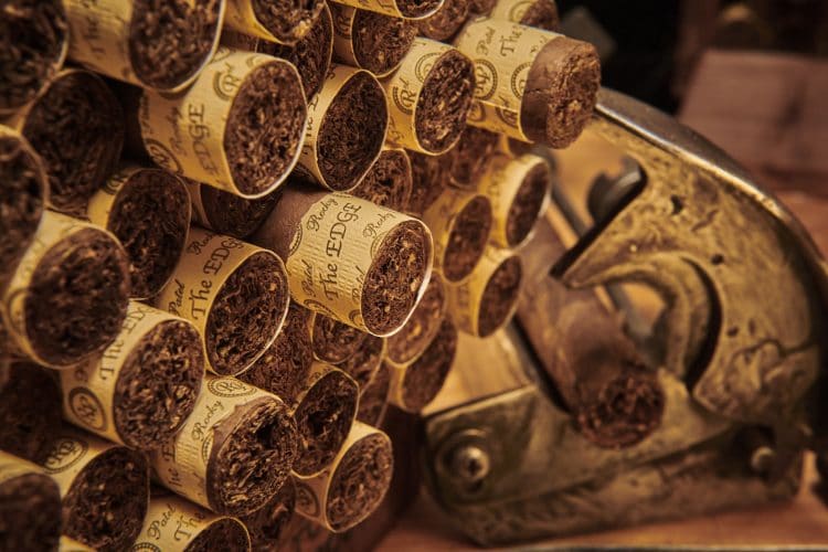 Cigar Rocky Patel Edge Corojo 1