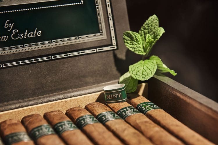 Cigar Rocky Patel Java Mint 4