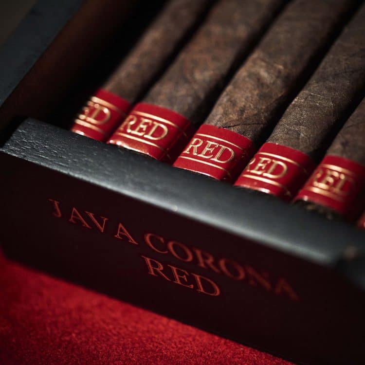 Cigar Rocky Patel Java Red6