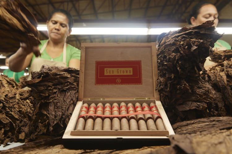 Cigar Rocky Patel Sun Grown 1