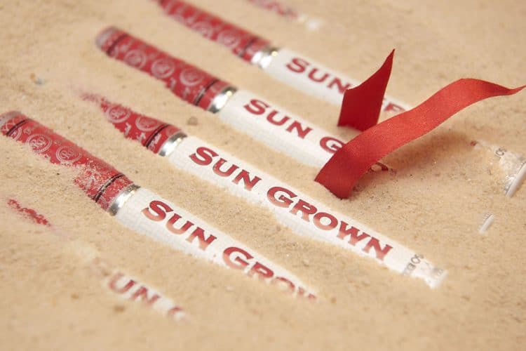 Cigar Rocky Patel Sun Grown 12