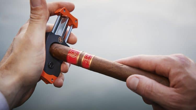 Cigar Rocky Patel Sun Grown 19