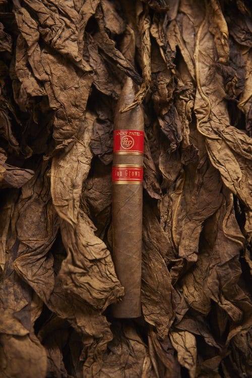 Cigar Rocky Patel Sun Grown 3