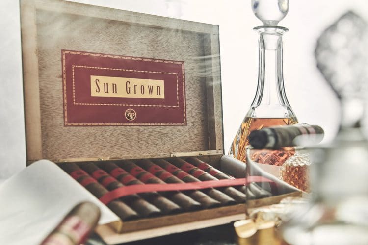 Cigar Rocky Patel Sun Grown 6