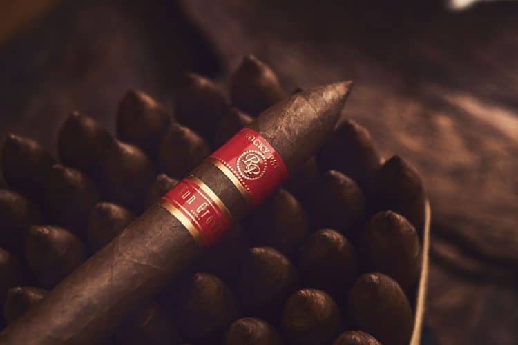 Cigar Rocky Patel Sun Grown 8