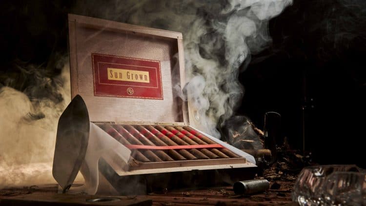 Cigar Rocky Patel Sun Grown 9