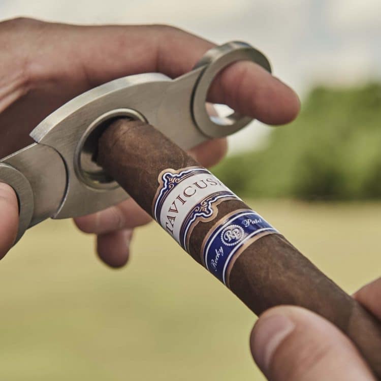 Cigar Rocky Patel Tavicusa 4