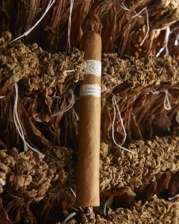 Cigar Rocky Patel Vintage 1999 1