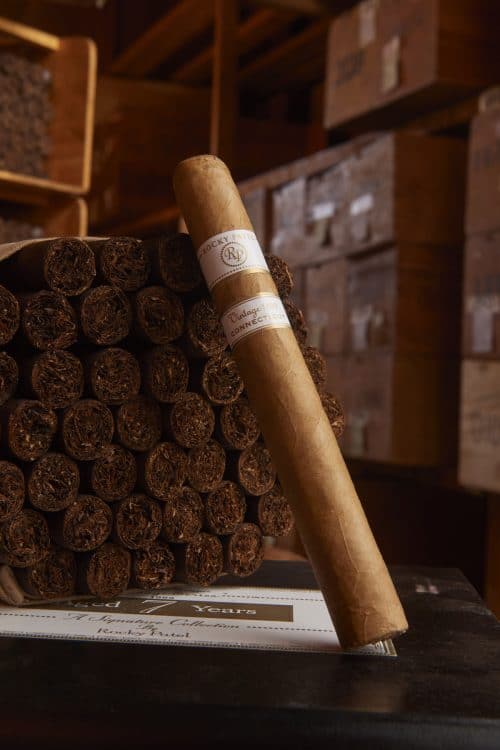 Cigar Rocky Patel Vintage 1999 2