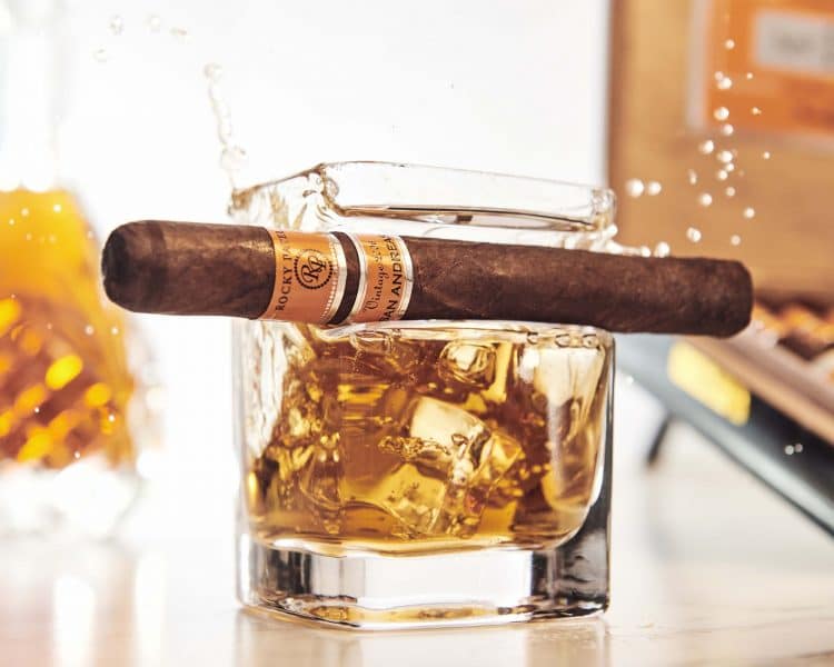 Cigar Rocky Patel Vintage 2006 10