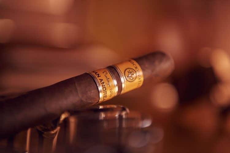 Cigar Rocky Patel Vintage 2006 18