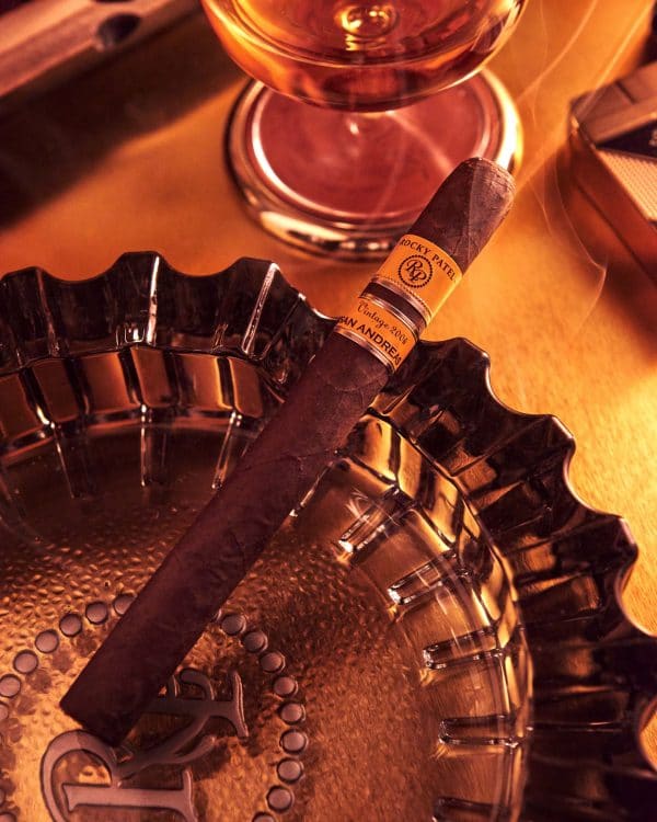 Cigar Rocky Patel Vintage 2006 7