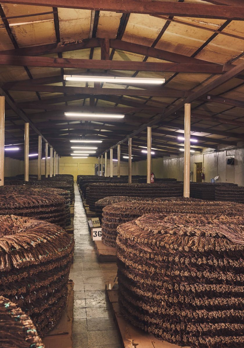 Cigar Pilons Fermentation