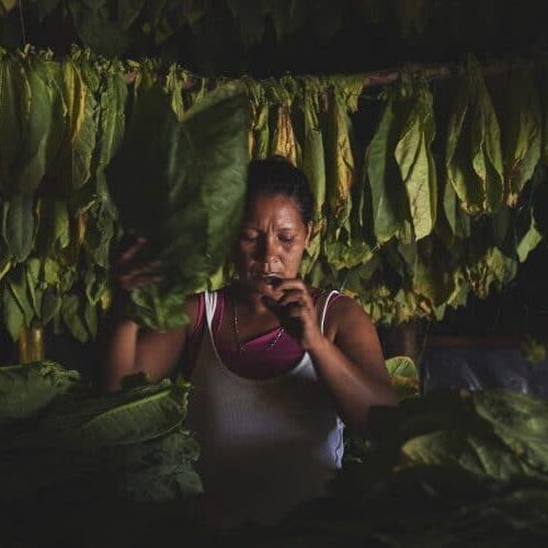 RP_Nicaragua_DSC8157